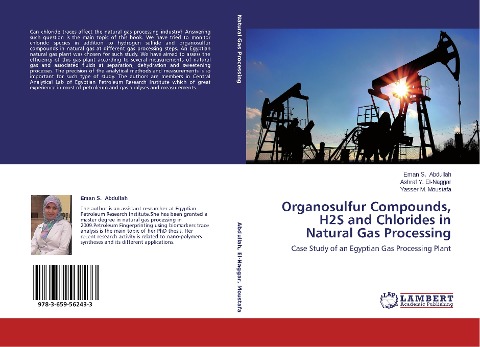 Organosulfur Compounds, H2S and Chlorides in Natural Gas Processing: Case Study of an Egyptian Gas Processing Plant