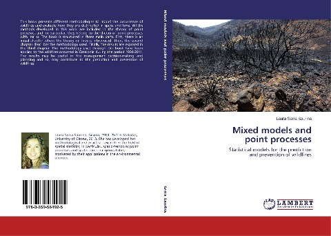 Mixed models and point processes: Statistical models for the prediction and prevention of wildfires