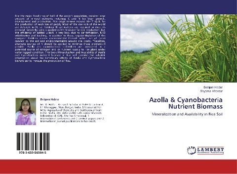 Azolla & Cyanobacteria Nutrient Biomass: Mineralization and Availability in Rice Soil