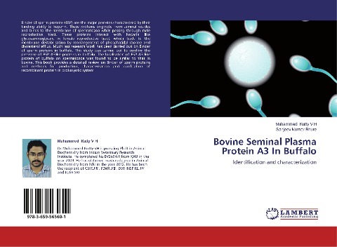 Bovine Seminal Plasma Protein A3 In Buffalo: Identification and characterization
