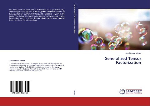 Generalized Tensor Factorization