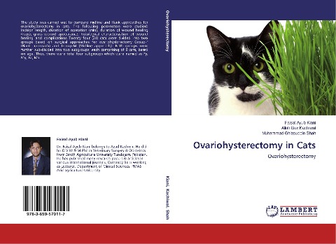 Ovariohysterectomy in Cats: Ovariohysterectomy