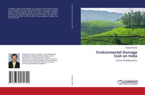 Environmental Damage Cost on India: A Case of Maharashtra