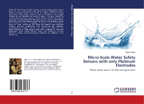 Micro-Scale Water Safety Sensors with only Platinum Electrodes: Water safety sensors for the next generation