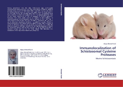 Immunolocalization of Schistosomal Cysteine Proteases: Murine Schistosomiasis