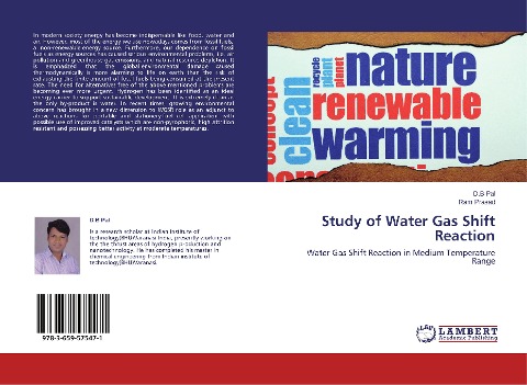 Study of Water Gas Shift Reaction: Water Gas Shift Reaction in Medium Temperature Range
