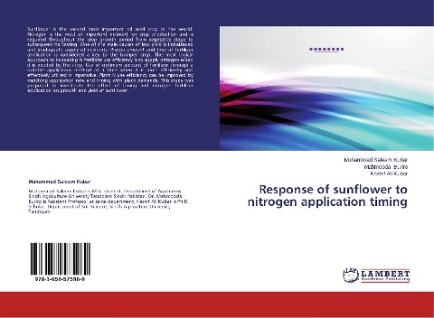 Response of sunflower to nitrogen application timing