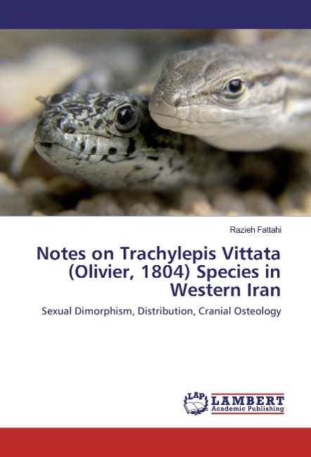 Notes on Trachylepis Vittata (Olivier, 1804) Species in Western Iran: Sexual Dimorphism, Distribution, Cranial Osteology