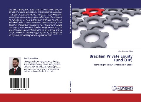 Brazilian Private Equity Fund (FIP): Reshaping the M&A landscape in Brazil