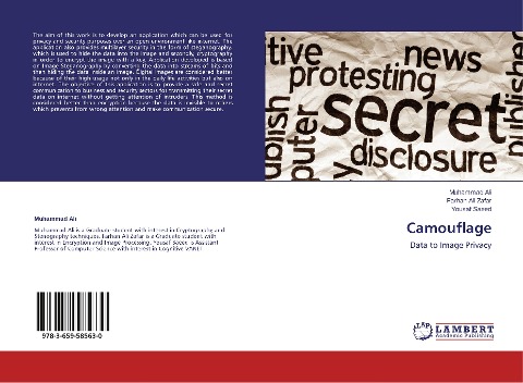 Camouflage: Data to Image Privacy