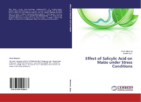 Effect of Salicylic Acid on Maize under Stress Conditions