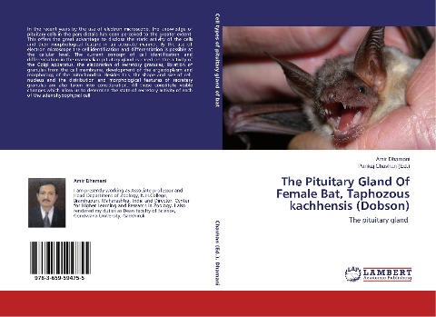 The Pituitary Gland Of Female Bat, Taphozous kachhensis (Dobson): The pituitary gland