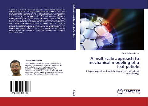 A multiscale approach to mechanical modeling of a leaf petiole: Integrating cell wall, cellular tissues, and structural morphology