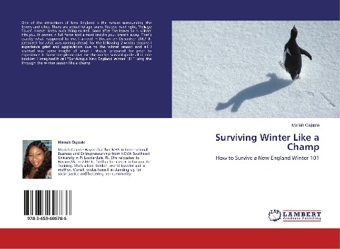 Surviving Winter Like a Champ: How to Survive a New England Winter 101