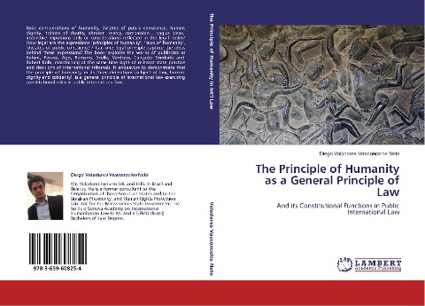 The Principle of Humanity as a General Principle of Law: And its Constitutional Functions in Public International Law