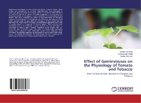 Effect of Geminviruses on the Physiology of Tomato and Tobacco: Gemini-Virus Mixed Infection on Tomato and Tobacco