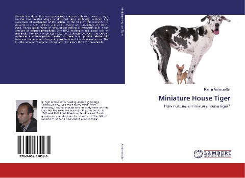 Miniature House Tiger: How nurture a miniature house tiger?