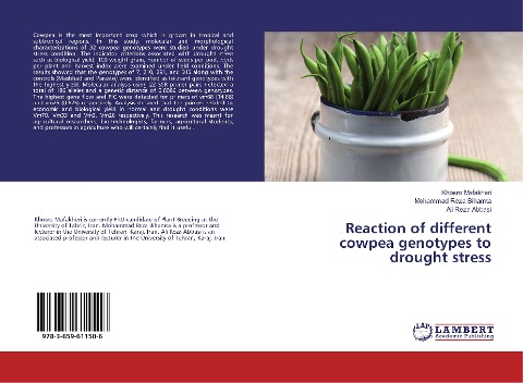 Reaction of different cowpea genotypes to drought stress