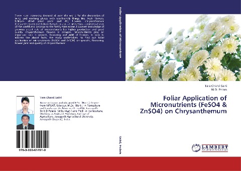 Foliar Application of Micronutrients (FeSO4 & ZnSO4) on Chrysanthemum
