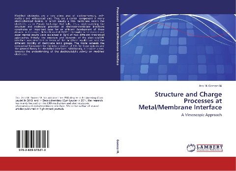 Structure and Charge Processes at Metal/Membrane Interface: A Mesoscopic Approach