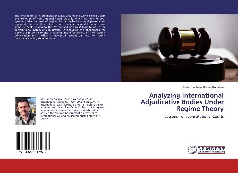 Analyzing International Adjudicative Bodies Under Regime Theory: Lessons from constitutional Courts
