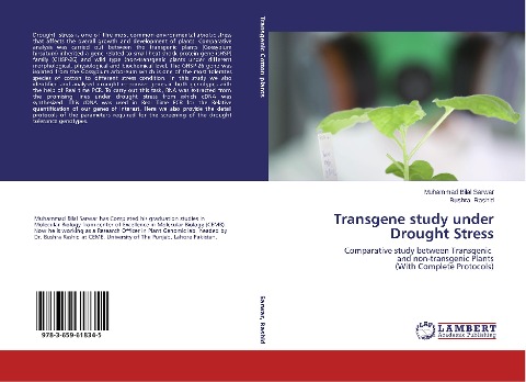 Transgene study under Drought Stress: Comparative study between Transgenic and non-transgenic Plants (With Complete Protocols)