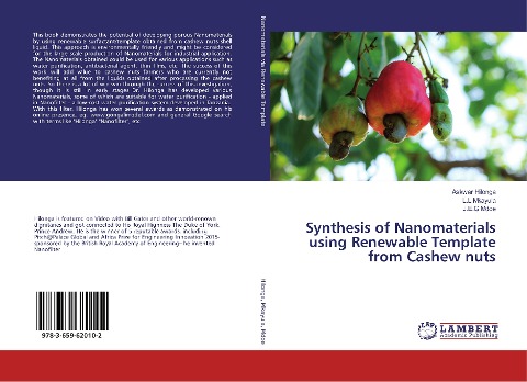 Synthesis of Nanomaterials using Renewable Template from Cashew nuts
