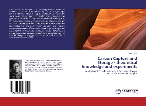 Carbon Capture and Storage - theoretical knowledge and experiments: Analysis of CO2 adsorption in different geological materials and water samples