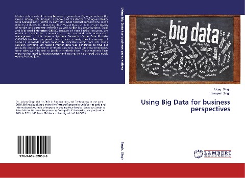 Using Big Data for business perspectives