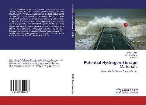 Potential Hydrogen Storage Materials: Materials For Future Energy Carrier
