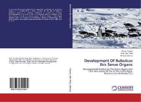 Development Of Bubulcus Ibis Sense Organs: Developmental Studies On The Sense Organs And Their Innervation Of The Of The Cattle Egret, Bubulcus Ibis (Ardeidae, Cic)