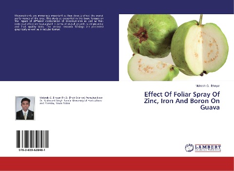 Effect Of Foliar Spray Of Zinc, Iron And Boron On Guava