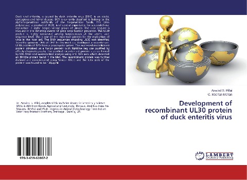 Development of recombinant UL30 protein of duck enteritis virus