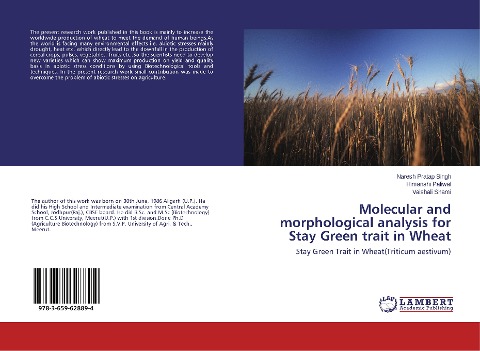 Molecular and morphological analysis for Stay Green trait in Wheat: Stay Green Trait in Wheat(Triticum aestivum)