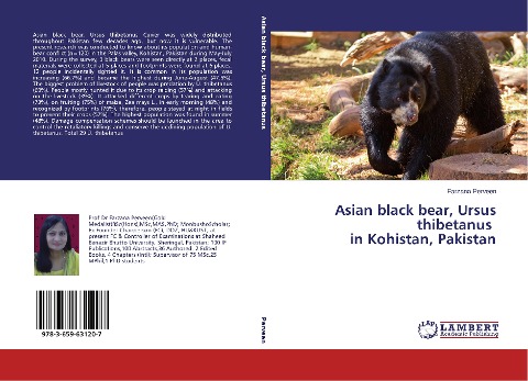 Asian black bear, Ursus thibetanus in Kohistan, Pakistan