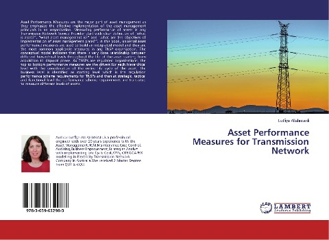 Asset Performance Measures for Transmission Network