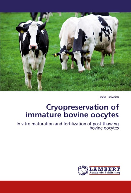 Cryopreservation of immature bovine oocytes: In vitro maturation and fertilization of post-thawing bovine oocytes
