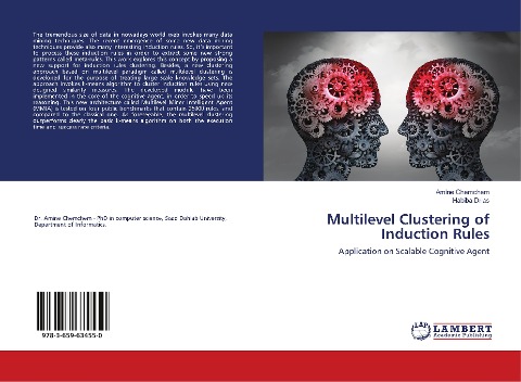 Multilevel Clustering of Induction Rules: Application on Scalable Cognitive Agent