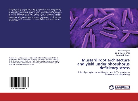 Mustard root architecture and yield under phosphorus deficiency stress: Role of phosphorus fertilization and ACC-deaminase rhizobacterial biopriming