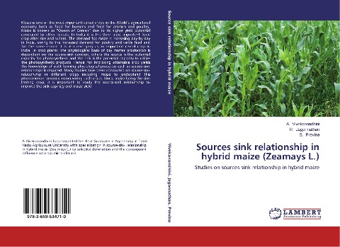 Sources sink relationship in hybrid maize (Zeamays L.): Studies on sources sink relationship in hybrid maize