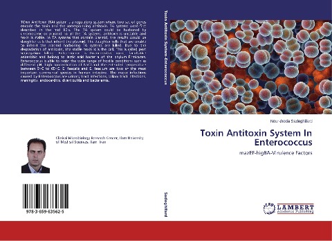 Toxin Antitoxin System In Enterococcus: mazEF-higBA-Virulence Factors