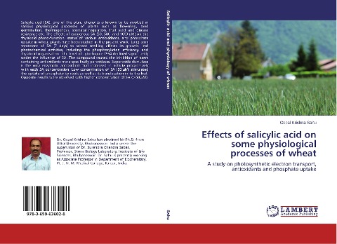 Effects of salicylic acid on some physiological processes of wheat: A study on photosynthetic electron transport, antioxidants and phosphate uptake