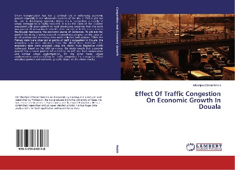 Effect Of Traffic Congestion On Economic Growth In Douala