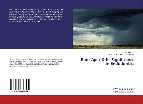Root Apex & Its Significance In Endodontics