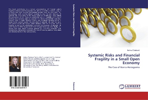 Systemic Risks and Financial Fragility in a Small Open Economy: The Case of Bosnia-Herzegovina