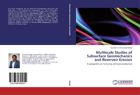Multiscale Studies of Subsurface Geomechanics and Reservoir Erosion: A perspective on fracturing and sand production