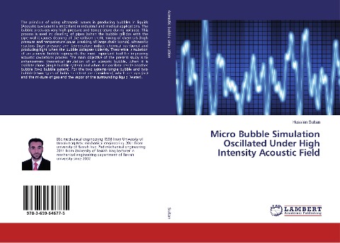 Micro Bubble Simulation Oscillated Under High Intensity Acoustic Field