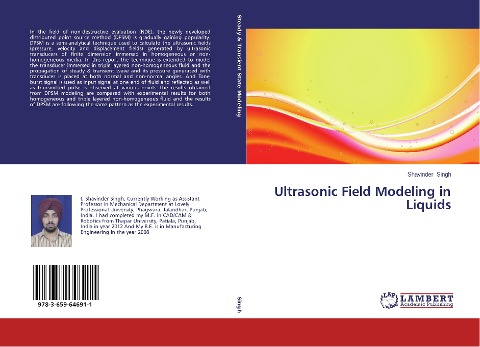 Ultrasonic Field Modeling in Liquids