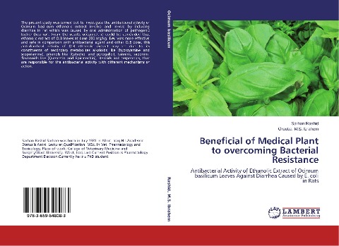Beneficial of Medical Plant to overcoming Bacterial Resistance: Antibacterial Activity of Ethanolic Extract of Ocimum basilicum Leaves Against Diarrhea Caused by E. coli in Rats