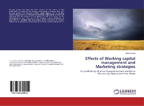 Effects of Working capital management and Marketing strategies: On profitability of micro financed business entities in Kisumu city, Nyanza province, Kenya